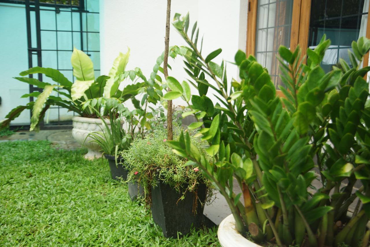 Nelinsa Residence Kandy Exteriér fotografie